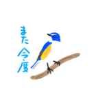 動く日本の野鳥 秋冬（個別スタンプ：9）