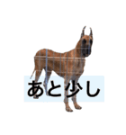 Great Dane（個別スタンプ：2）