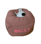 イヱネコ（個別スタンプ：21）