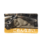 ムウ☆その2（個別スタンプ：8）