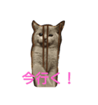 ムウ☆その2（個別スタンプ：9）