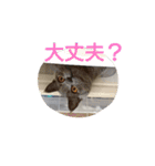 ムウ☆その2（個別スタンプ：16）