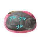 ムウ☆その2（個別スタンプ：22）