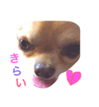 Love.pet 4（個別スタンプ：7）