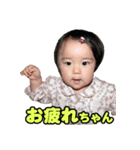 shirapo stamp No.2 Yuzuki（個別スタンプ：4）
