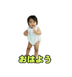 shirapo stamp No.2 Yuzuki（個別スタンプ：8）