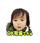 shirapo stamp No.2 Yuzuki（個別スタンプ：12）