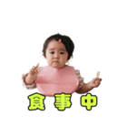 shirapo stamp No.2 Yuzuki（個別スタンプ：31）