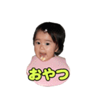 shirapo stamp No.2 Yuzuki（個別スタンプ：33）
