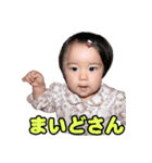 shirapo stamp No.2 Yuzuki（個別スタンプ：34）