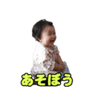 shirapo stamp No.2 Yuzuki（個別スタンプ：35）