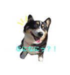 くるこ！（個別スタンプ：2）