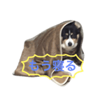 くるこ！（個別スタンプ：5）