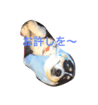 くるこ！（個別スタンプ：8）