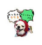 ロンちゃんの日常（個別スタンプ：5）