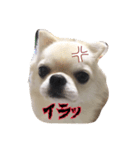 ロンちゃんの日常（個別スタンプ：7）