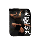 desa sri lovers returns（個別スタンプ：4）