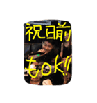 desa sri lovers returns（個別スタンプ：29）