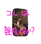 desa sri lovers returns（個別スタンプ：36）