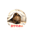 うどんの日常   筑豊弁（個別スタンプ：12）