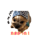 うどんの日常   筑豊弁（個別スタンプ：14）