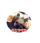 うどんの日常   筑豊弁（個別スタンプ：15）