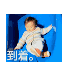 葵の1日スタンプ2（個別スタンプ：13）