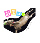 ヴァレの毎日（個別スタンプ：10）