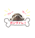 ヴァレの毎日（個別スタンプ：15）