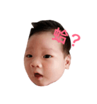 Boghi2（個別スタンプ：33）
