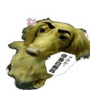 bubuq（個別スタンプ：3）