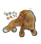 bubuq（個別スタンプ：6）