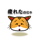ネコのとら吉（個別スタンプ：13）