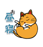 ネコのとら吉（個別スタンプ：23）