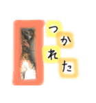 3匹の猫！！（個別スタンプ：14）