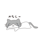 ひたすらゆるいにゃんこ（個別スタンプ：6）
