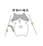 ひたすらゆるいにゃんこ（個別スタンプ：11）