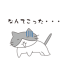 ひたすらゆるいにゃんこ（個別スタンプ：16）