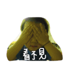 bank stickers（個別スタンプ：16）
