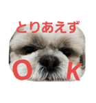 まろんふぁみりー でいりー つー（個別スタンプ：7）