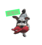 Schnauzer kuso（個別スタンプ：1）