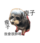 Schnauzer kuso（個別スタンプ：4）