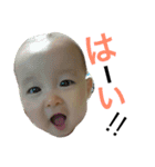 COCO the life（個別スタンプ：8）