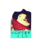 utino neko siro kuro chacha（個別スタンプ：4）