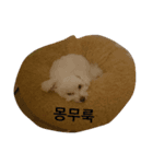 mongee（個別スタンプ：4）