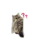 ペルシャ猫 りんのまったりLIFE（個別スタンプ：5）
