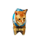 あと猫（個別スタンプ：7）