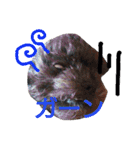 my doggy and cats（個別スタンプ：1）