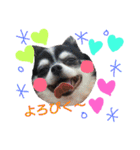 my doggy and cats（個別スタンプ：4）
