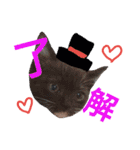 my doggy and cats（個別スタンプ：7）